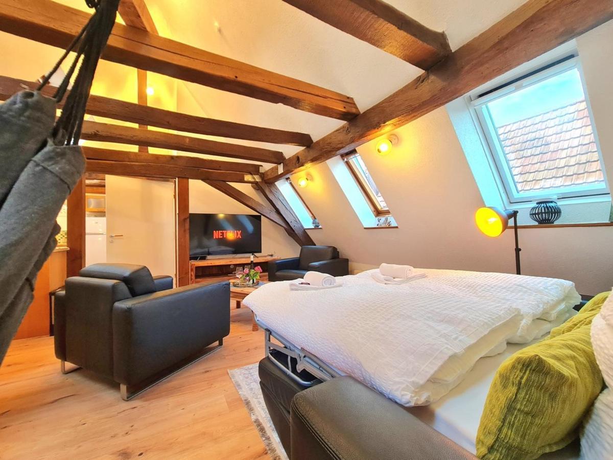 Apartment Avahome: Haus Fuer 16, Wlan, Parkplaetze, Netflix, Nespresso Kandel